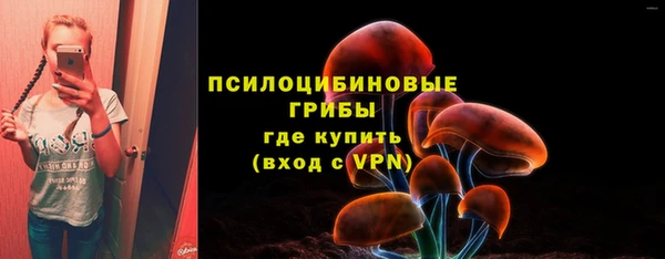 эйфоретик Протвино