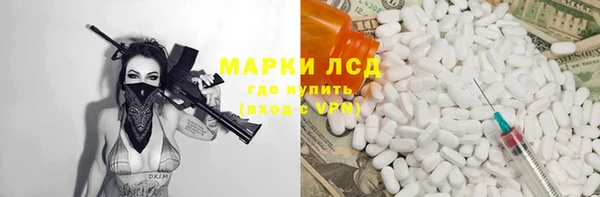 прущий лед Алзамай