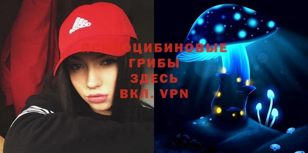мескалин Алексин