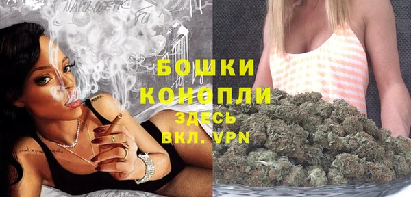 стаф Приозерск