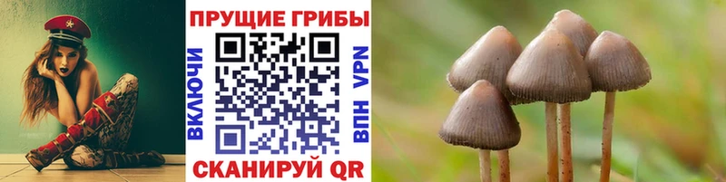 Псилоцибиновые грибы мицелий Арск